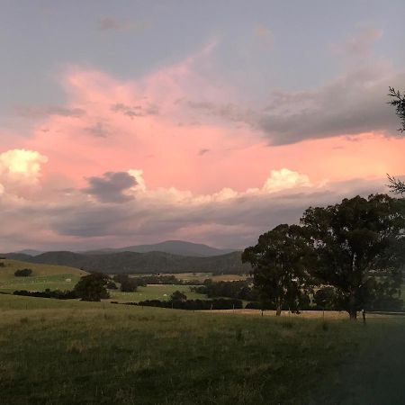 The Studio - Yarra Valley Yarra Glen Exterior foto