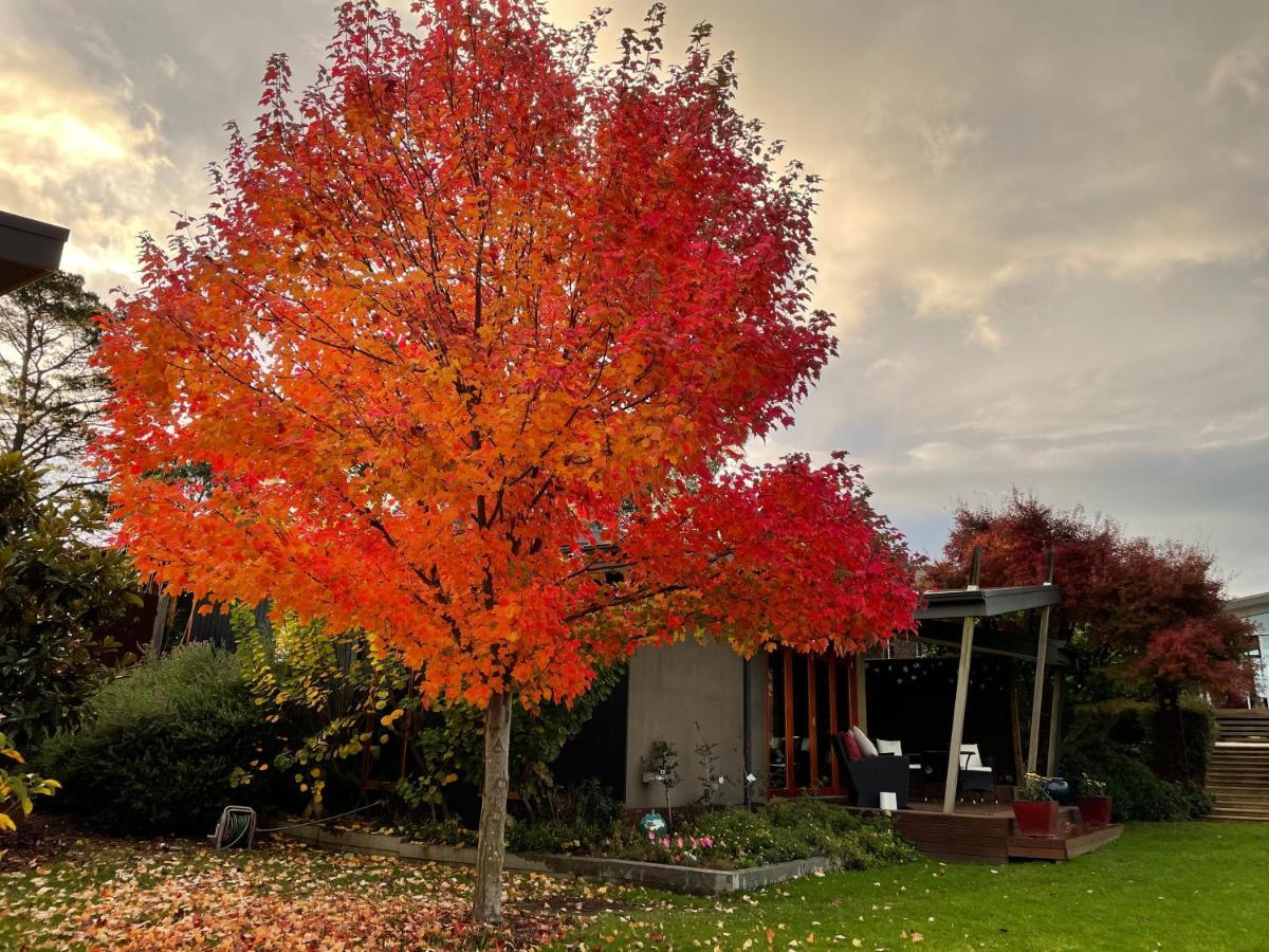 The Studio - Yarra Valley Yarra Glen Exterior foto