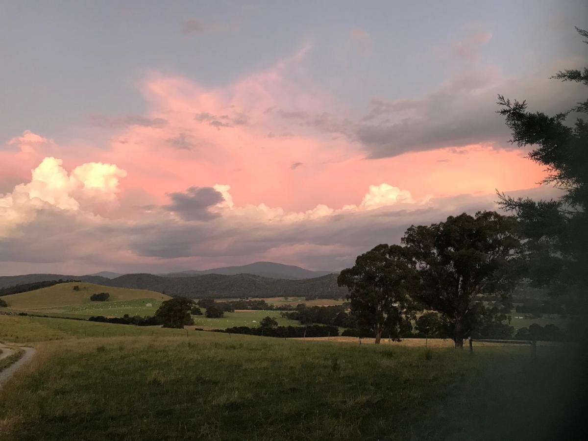 The Studio - Yarra Valley Yarra Glen Exterior foto