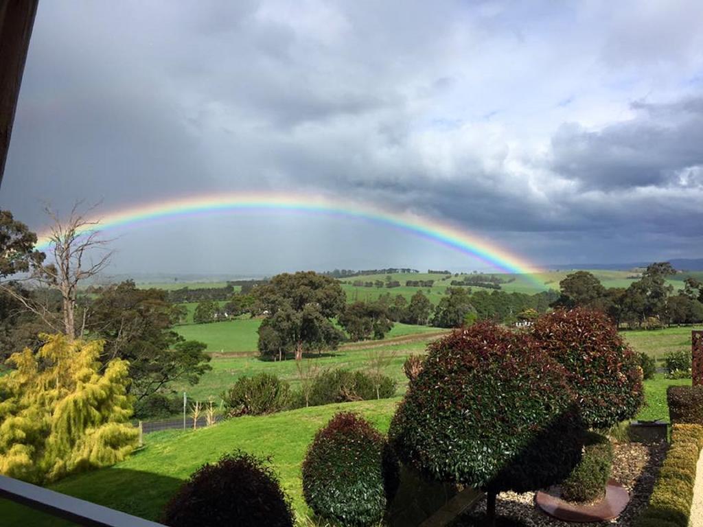 The Studio - Yarra Valley Yarra Glen Exterior foto