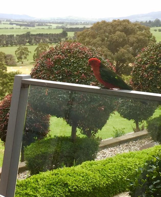 The Studio - Yarra Valley Yarra Glen Exterior foto