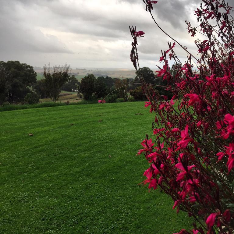 The Studio - Yarra Valley Yarra Glen Exterior foto