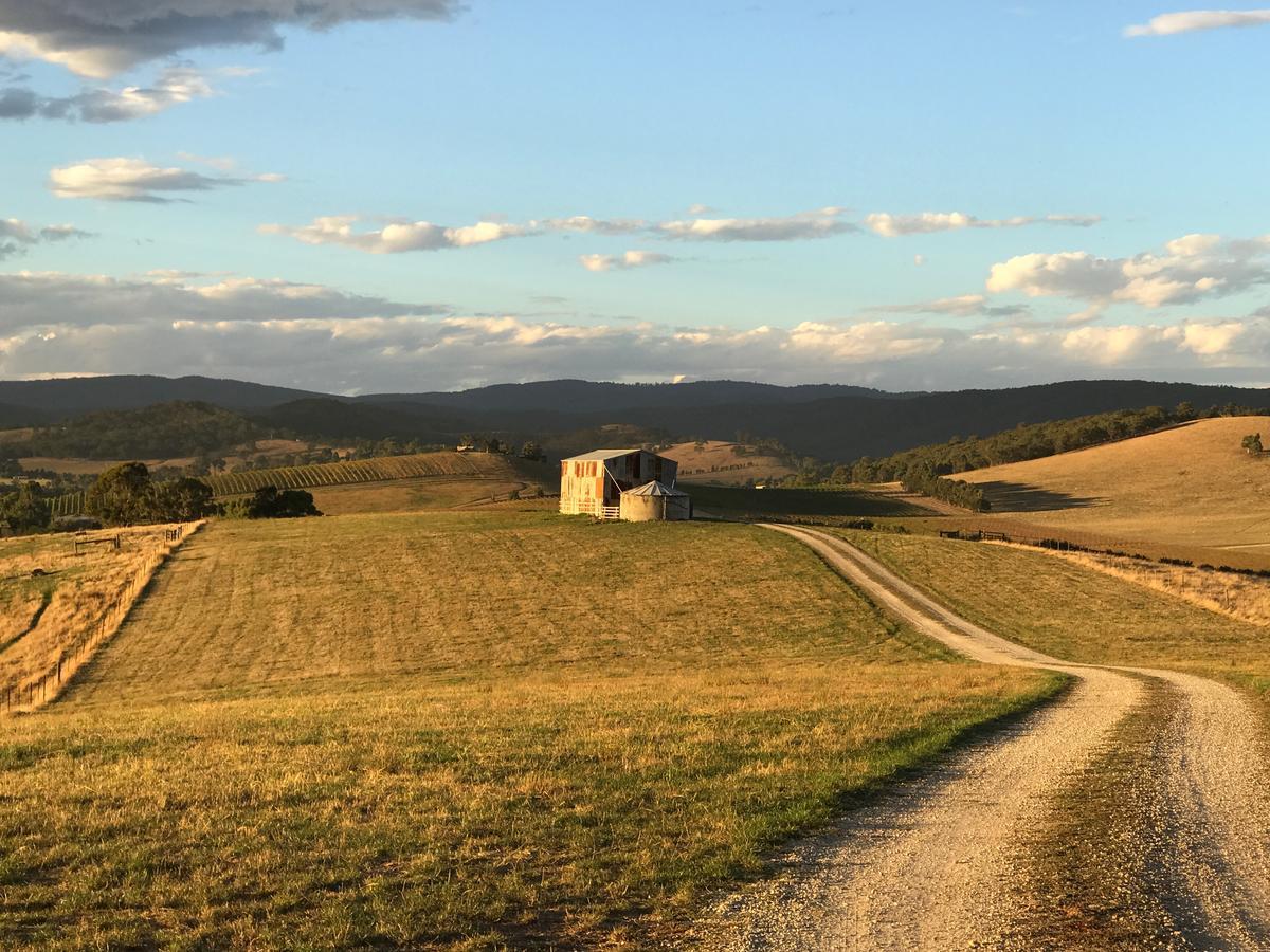 The Studio - Yarra Valley Yarra Glen Exterior foto